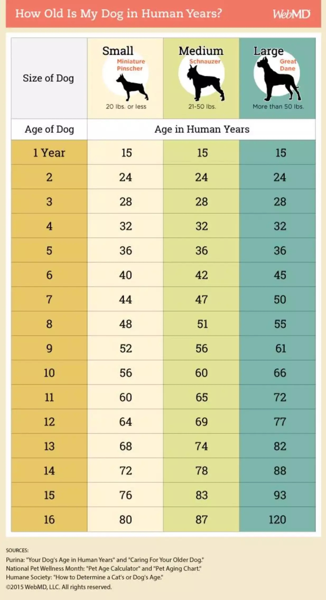 Infografik: Tabel perbandingan usia anjing dan manusia 