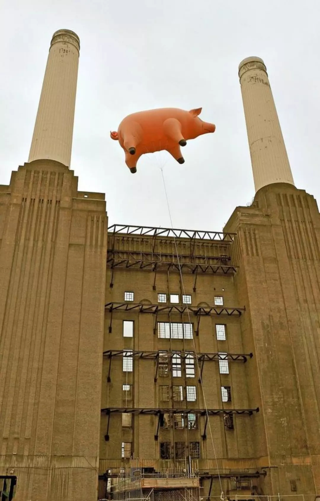 Balon babi terbang Pink Floyd 
