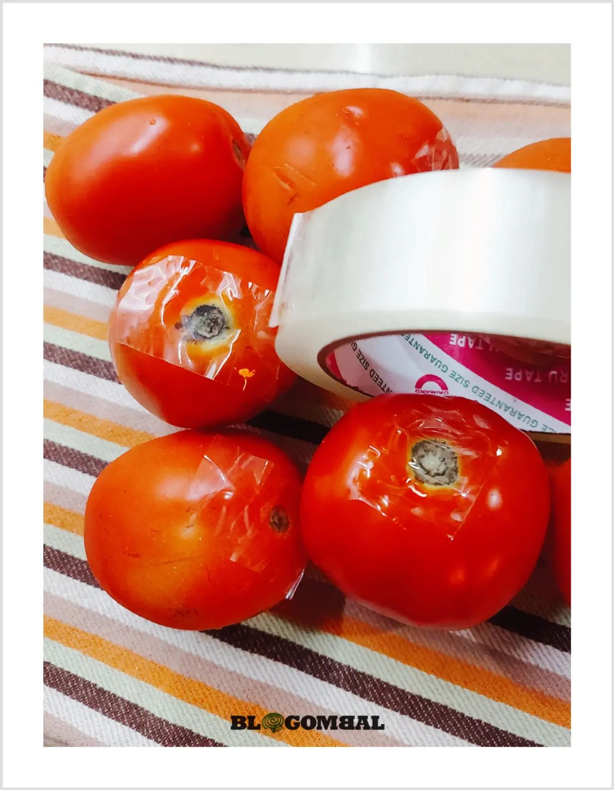 Tip: Soal selotip pada pantat tomat 